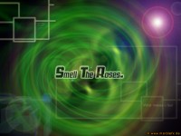Smell the Roses